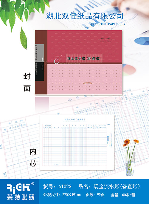 6102S--現金流水賬