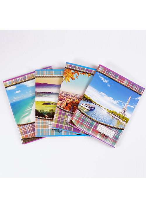 RT-20042 Seyes exercise book 